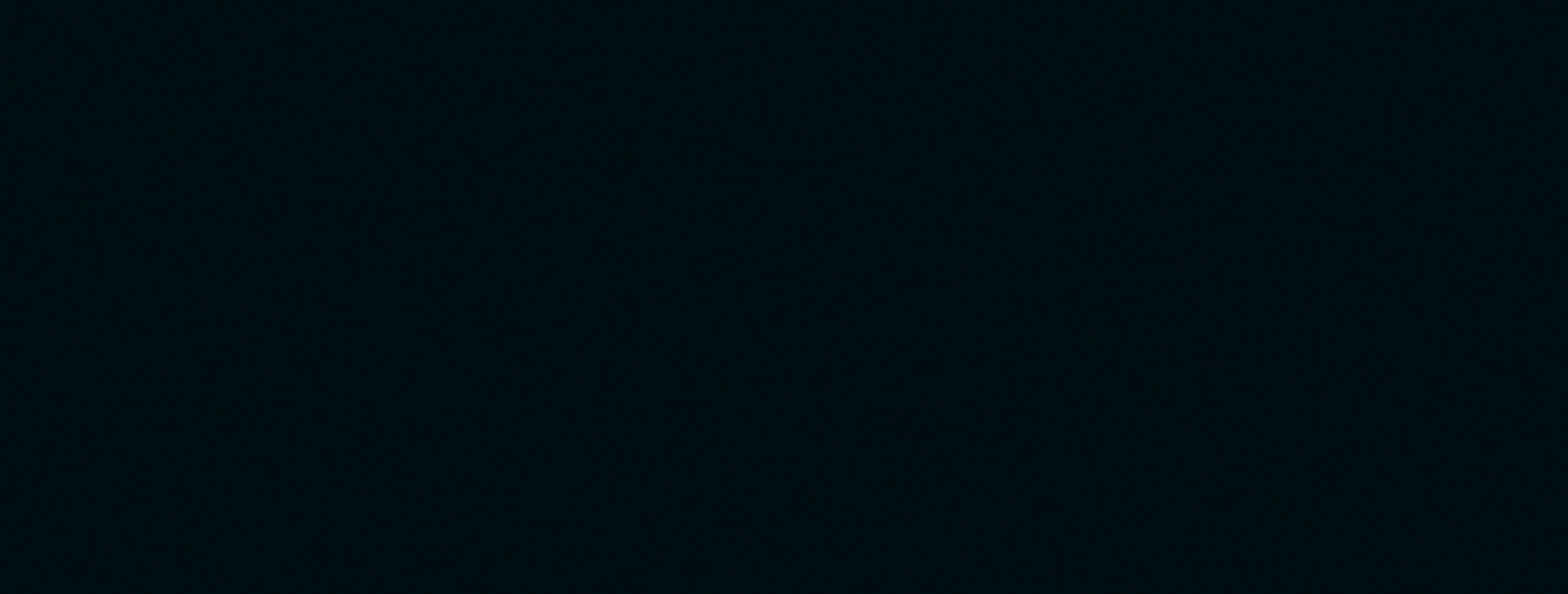 CEO background